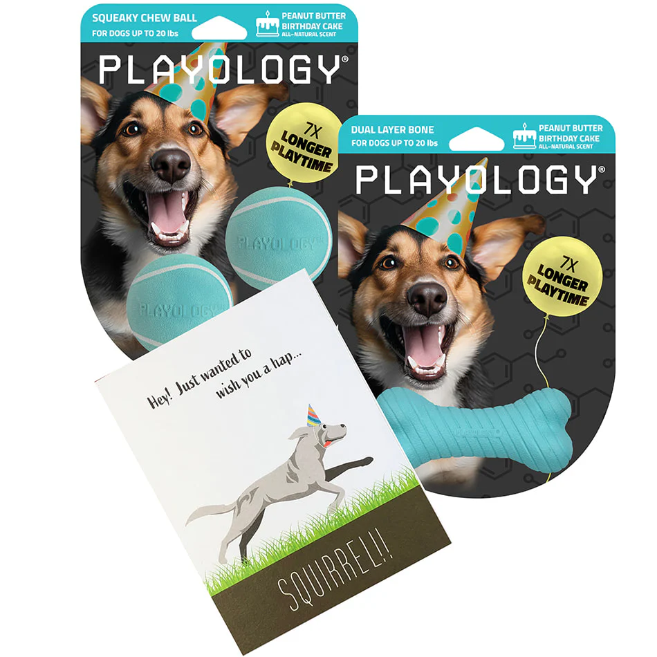 Dog Toys