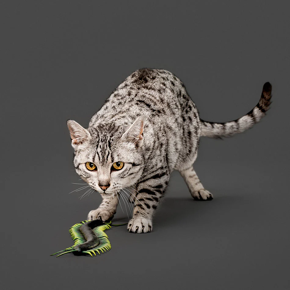 Centipede - Image 3