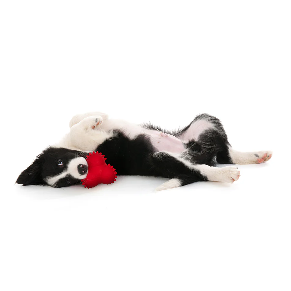 Teething Bounce Ball - Image 7