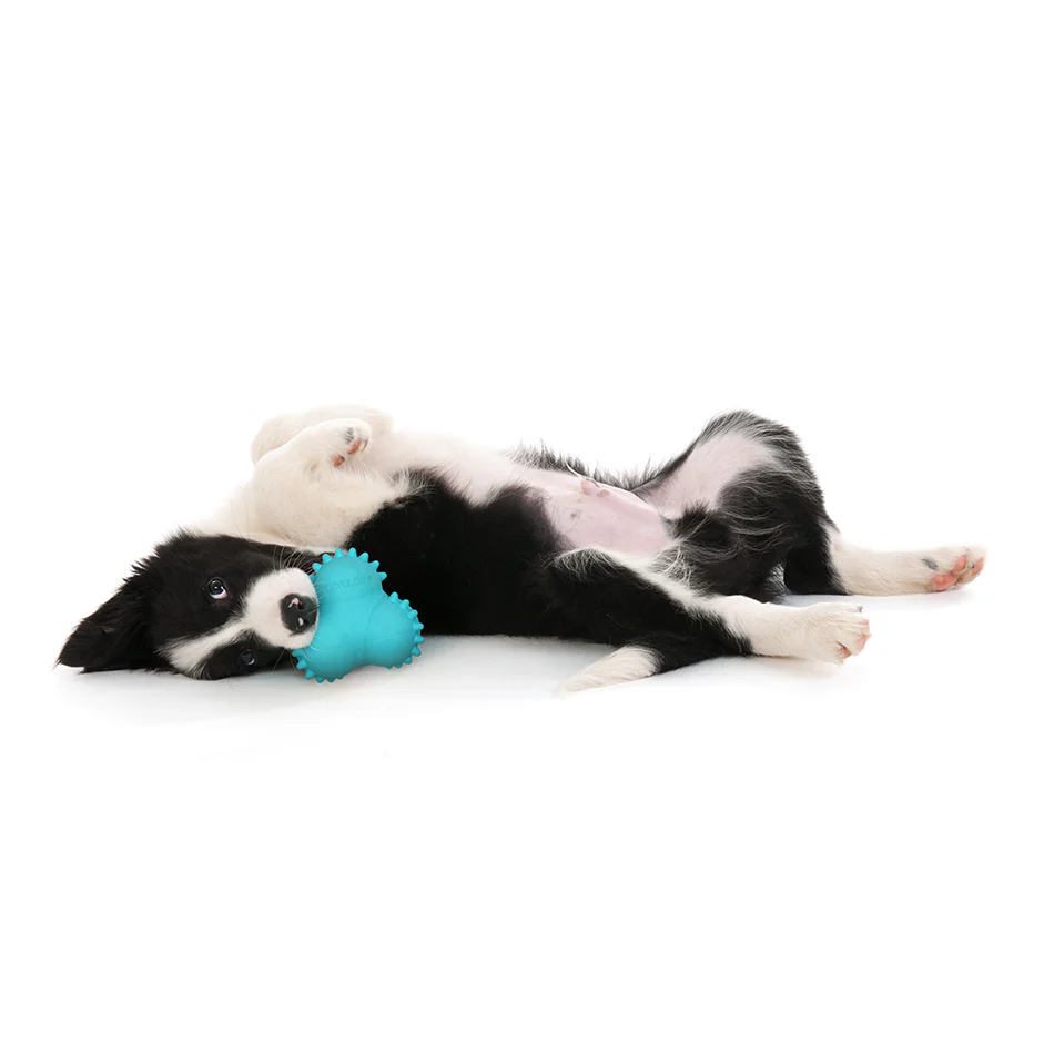 Teething Bounce Ball - Image 8