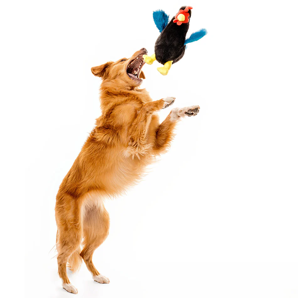 Plush Hen - Image 4
