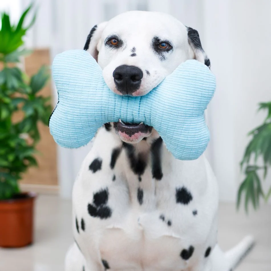 Squeaky Bone - Image 6